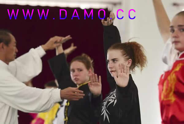 洗髓经 易筋经